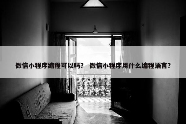 微信小程序编程可以吗？ 微信小程序用什么编程语言？