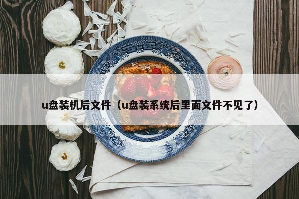 u盘装机后文件（u盘装系统后里面文件不见了）