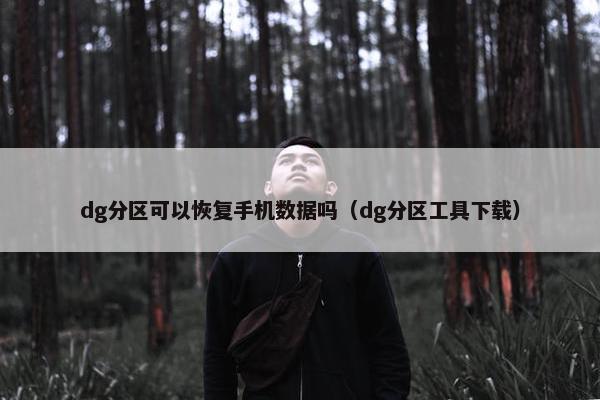 dg分区可以恢复手机数据吗（dg分区工具下载）