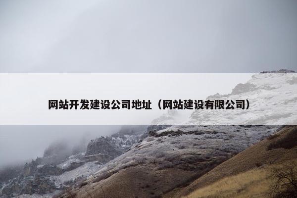 网站开发建设公司地址（网站建设有限公司）