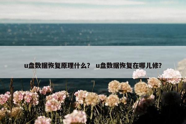 u盘数据恢复原理什么？ u盘数据恢复在哪儿修？