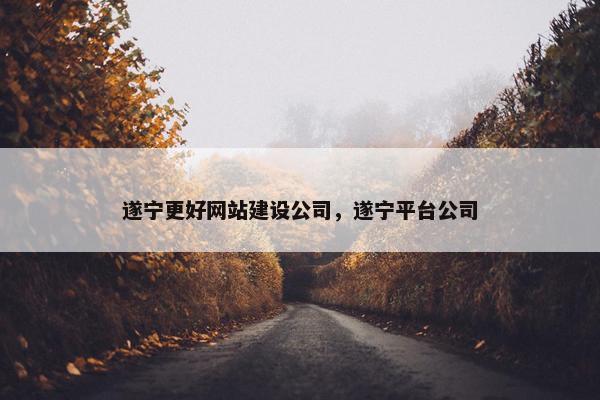 遂宁更好网站建设公司，遂宁平台公司