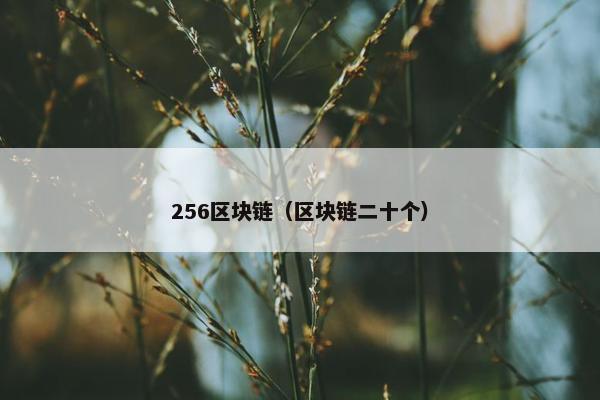 256区块链（区块链二十个）