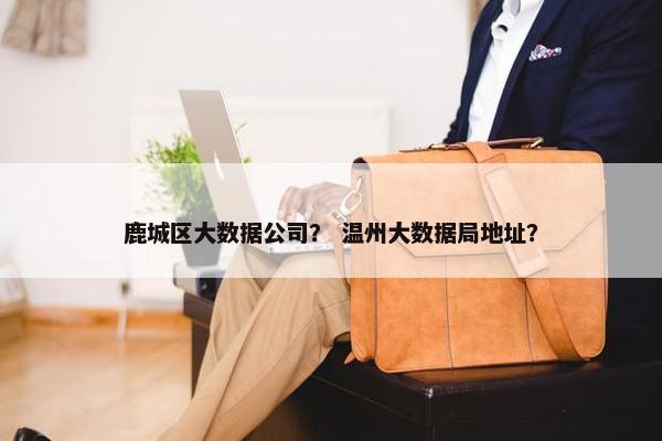 鹿城区大数据公司？ 温州大数据局地址？