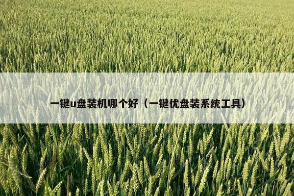 一键u盘装机哪个好（一键优盘装系统工具）