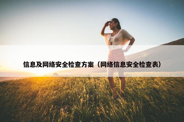 信息及网络安全检查方案（网络信息安全检查表）