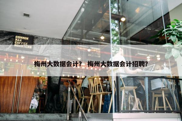 梅州大数据会计？ 梅州大数据会计招聘？