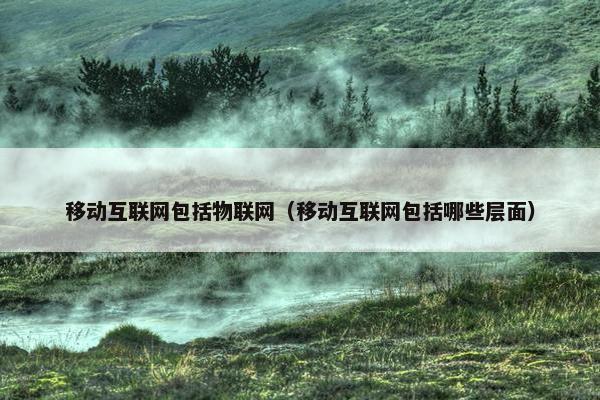 移动互联网包括物联网（移动互联网包括哪些层面）