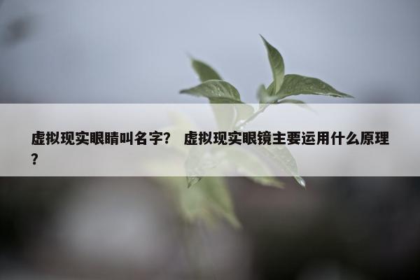 虚拟现实眼睛叫名字？ 虚拟现实眼镜主要运用什么原理？