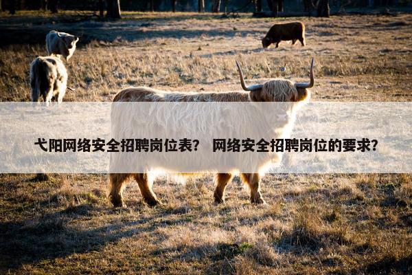 弋阳网络安全招聘岗位表？ 网络安全招聘岗位的要求？