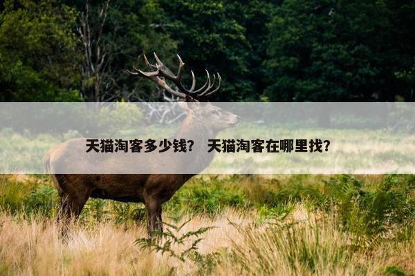 天猫淘客多少钱？ 天猫淘客在哪里找？