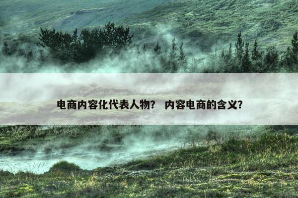 电商内容化代表人物？ 内容电商的含义？
