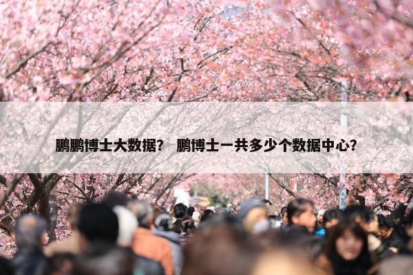 鹏鹏博士大数据？ 鹏博士一共多少个数据中心？