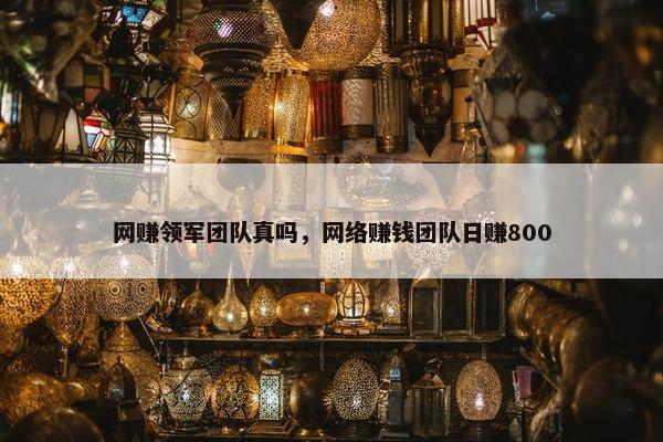 网赚领军团队真吗，网络赚钱团队日赚800