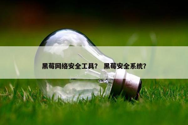 黑莓网络安全工具？ 黑莓安全系统？