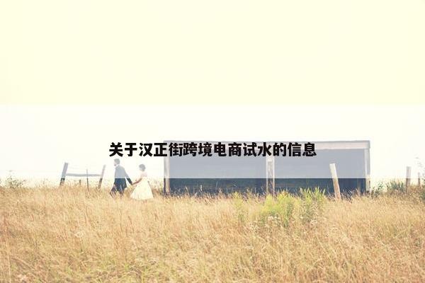 关于汉正街跨境电商试水的信息