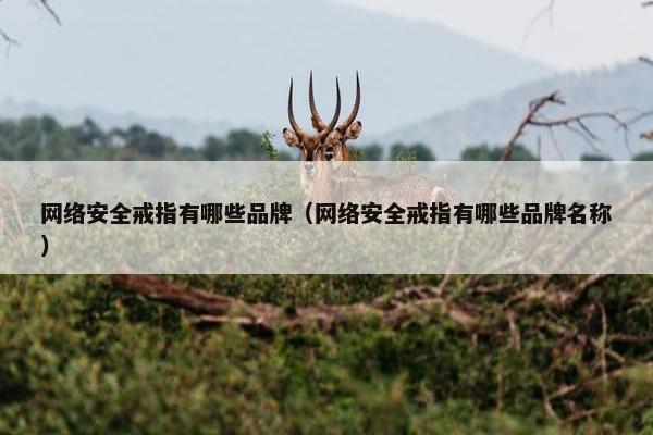 网络安全戒指有哪些品牌（网络安全戒指有哪些品牌名称）
