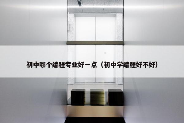 初中哪个编程专业好一点（初中学编程好不好）