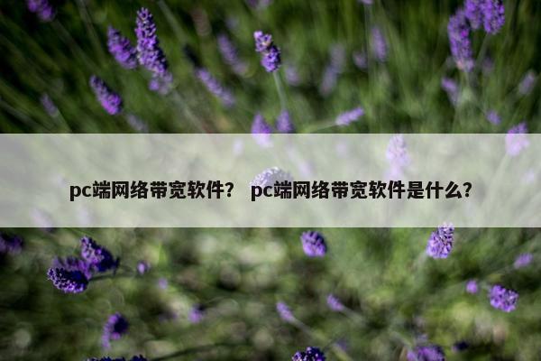 pc端网络带宽软件？ pc端网络带宽软件是什么？