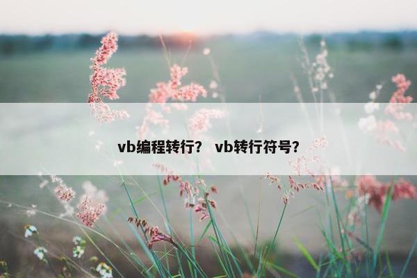 vb编程转行？ vb转行符号？