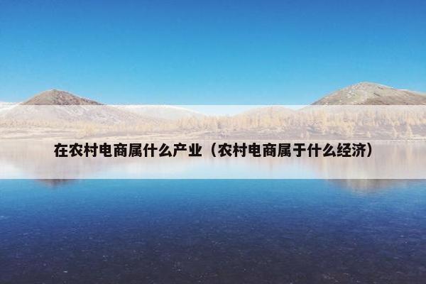 在农村电商属什么产业（农村电商属于什么经济）