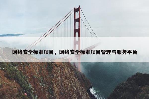 网络安全标准项目，网络安全标准项目管理与服务平台