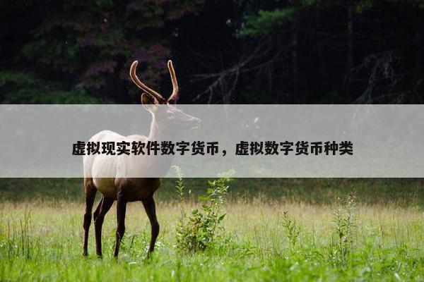 虚拟现实软件数字货币，虚拟数字货币种类