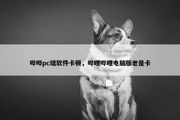 哔哔pc端软件卡顿，哔哩哔哩电脑版老是卡