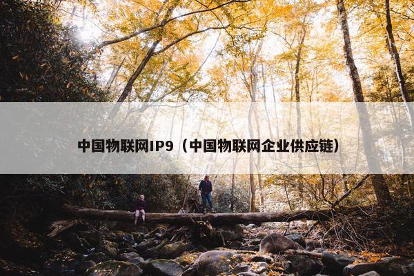 中国物联网IP9（中国物联网企业供应链）