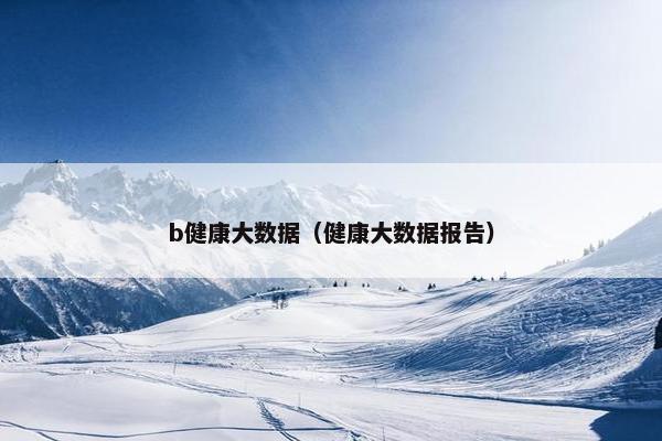 b健康大数据（健康大数据报告）