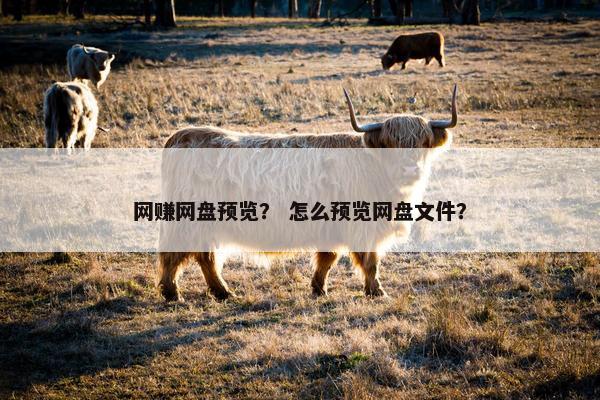 网赚网盘预览？ 怎么预览网盘文件？