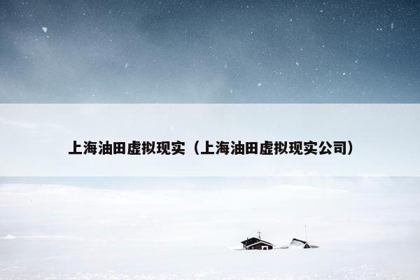 上海油田虚拟现实（上海油田虚拟现实公司）