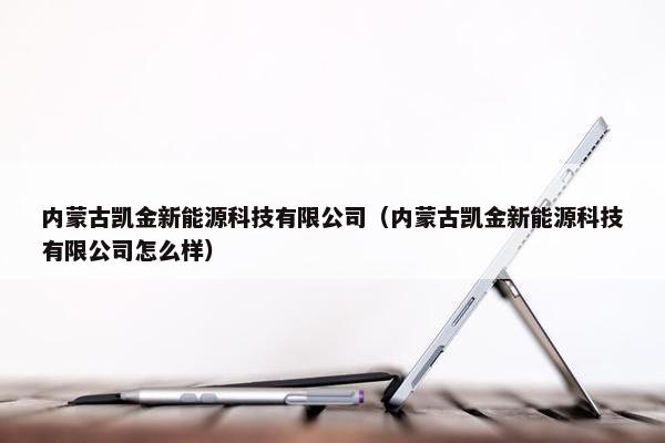 内蒙古凯金新能源科技有限公司（内蒙古凯金新能源科技有限公司怎么样）
