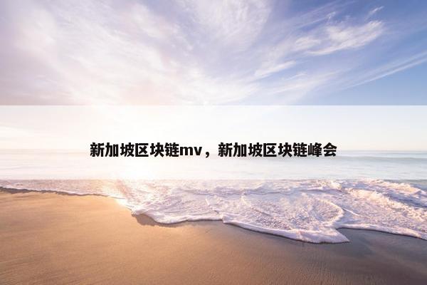 新加坡区块链mv，新加坡区块链峰会