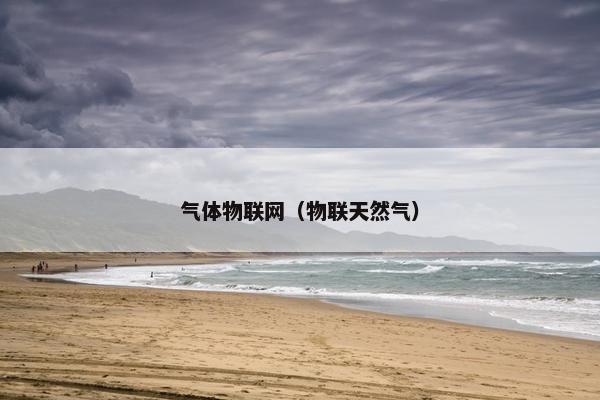 气体物联网（物联天然气）