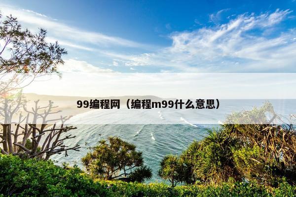 99编程网（编程m99什么意思）