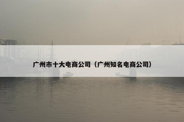 广州市十大电商公司（广州知名电商公司）