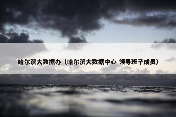 哈尔滨大数据办（哈尔滨大数据中心 领导班子成员）