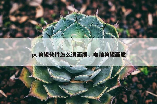 pc剪辑软件怎么调画质，电脑剪辑画质