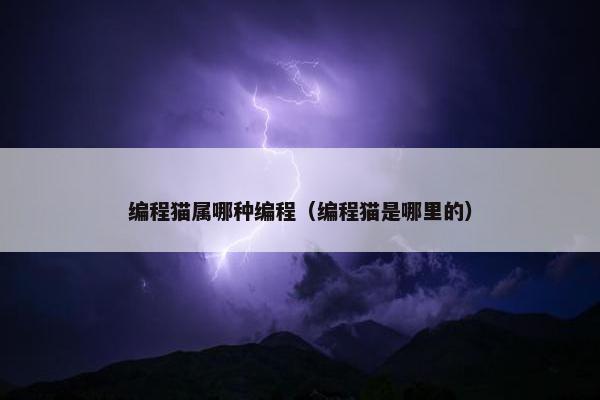 编程猫属哪种编程（编程猫是哪里的）