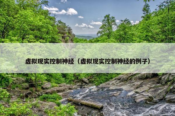 虚拟现实控制神经（虚拟现实控制神经的例子）