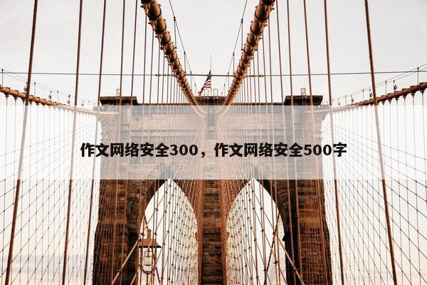 作文网络安全300，作文网络安全500字