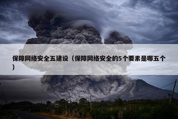 保障网络安全五建设（保障网络安全的5个要素是哪五个）