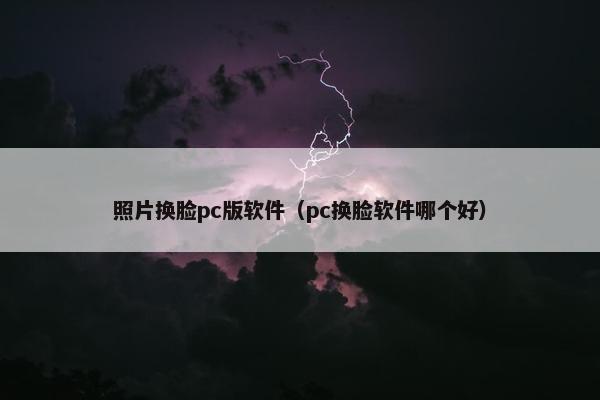 照片换脸pc版软件（pc换脸软件哪个好）