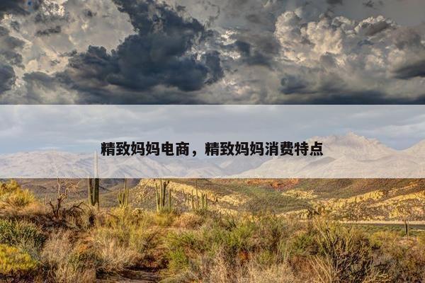 精致妈妈电商，精致妈妈消费特点