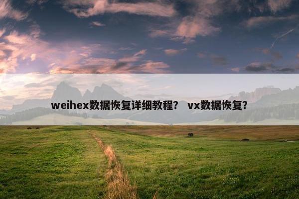 weihex数据恢复详细教程？ vx数据恢复？