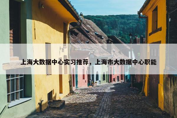 上海大数据中心实习推荐，上海市大数据中心职能