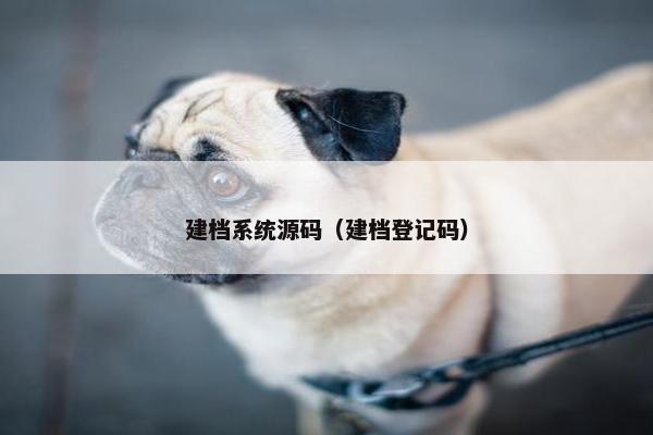 建档系统源码（建档登记码）