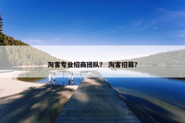 淘客专业招商团队？ 淘客招募？