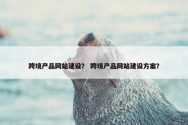 跨境产品网站建设？ 跨境产品网站建设方案？